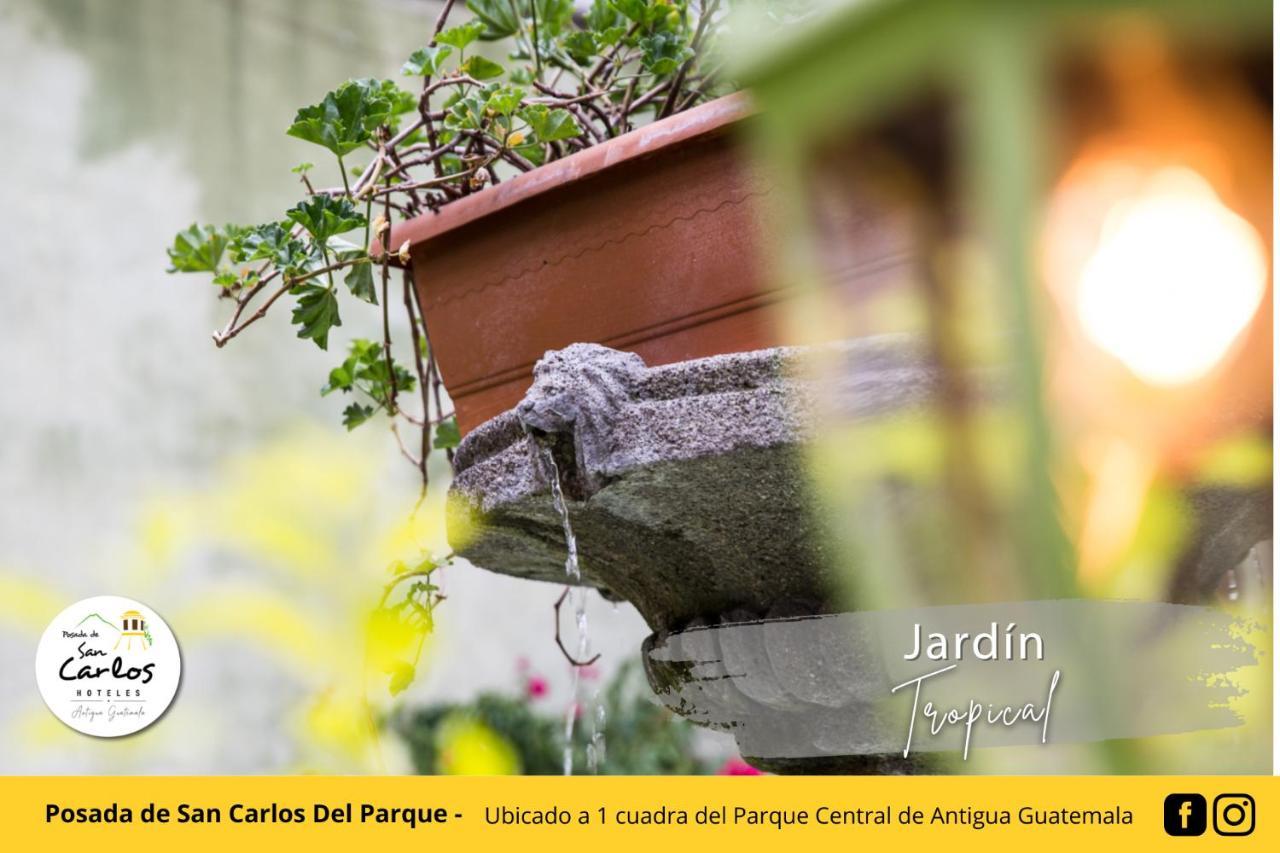 אנטיגואה גואטמלה Posada De San Carlos Del Parque מראה חיצוני תמונה